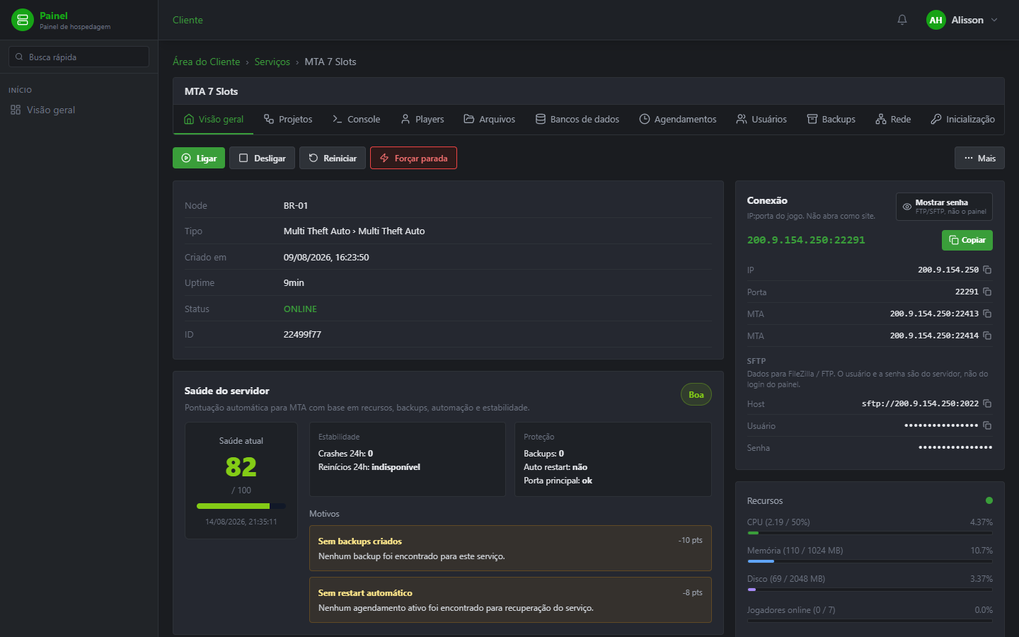 Visão geral do servidor: menu Arquivos, Console e os botões Ligar / Desligar.